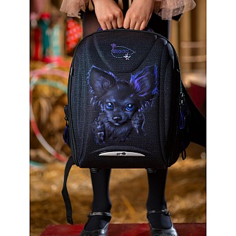 Ранец GROOC 7mini-033 + пенал + мешок + сумка-пенал