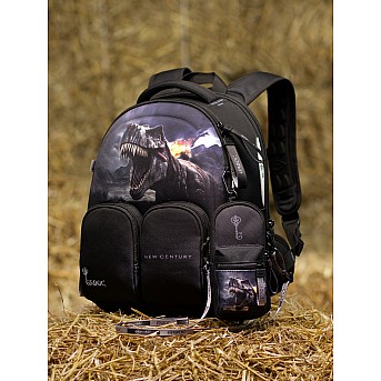 Ранец GROOC 16-21 + пенал + мешок + сумка-пенал